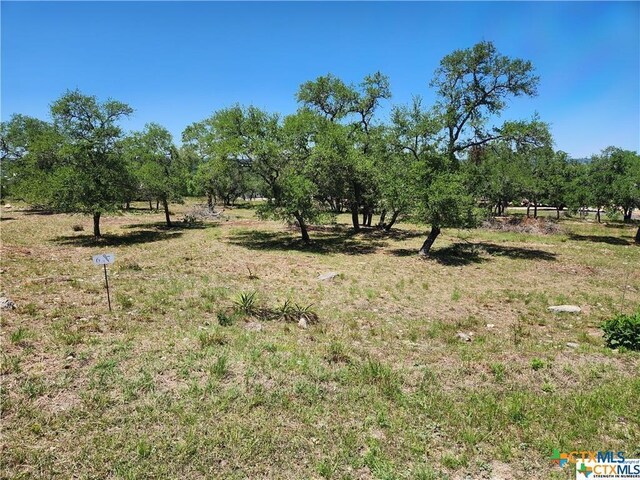 1633 Bella Vis, Canyon Lake, TX 78133