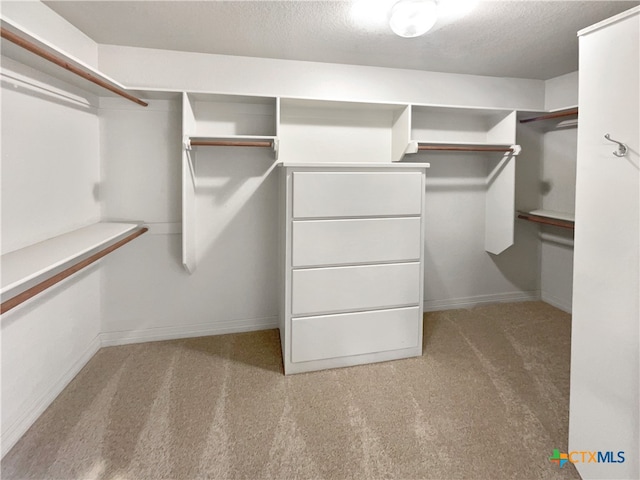 walk in closet with light colored carpet