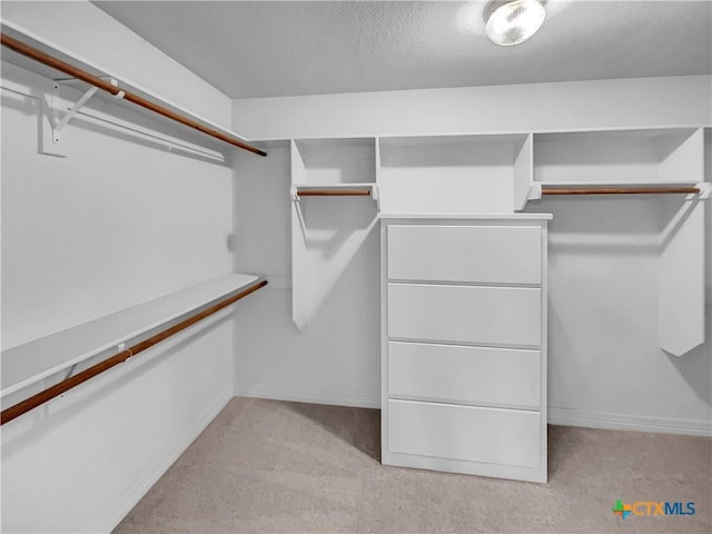 walk in closet featuring light colored carpet