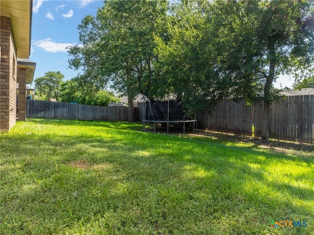 view of yard featuring a trampoline