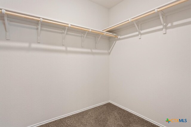 spacious closet with carpet floors