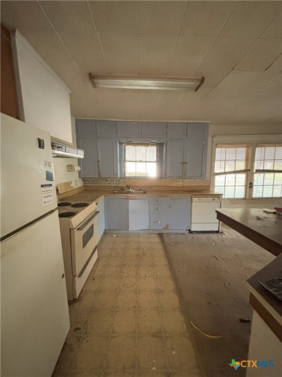 kitchen with range hood, white appliances, sink, and a wealth of natural light