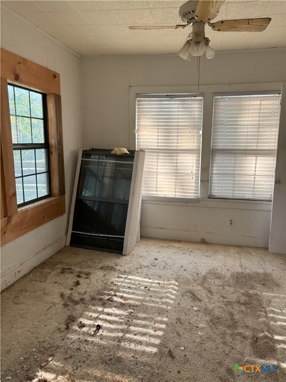 empty room featuring carpet floors and ceiling fan