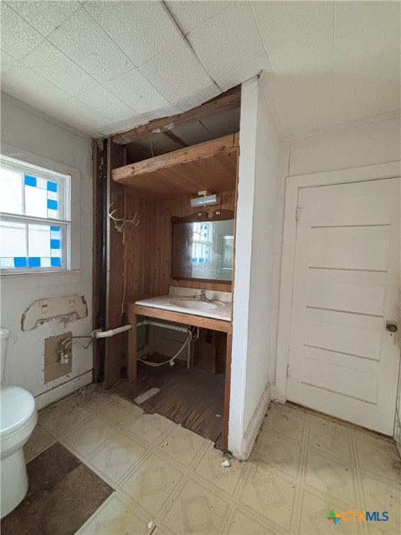 bathroom with toilet, sink, and wooden walls