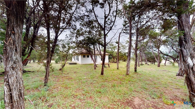 1802 Spring Valley Dr, Dripping Springs, TX 78620 - view of grassy yard