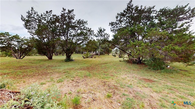 1802 Spring Valley Dr, Dripping Springs, TX 78620 - view of grassy yard