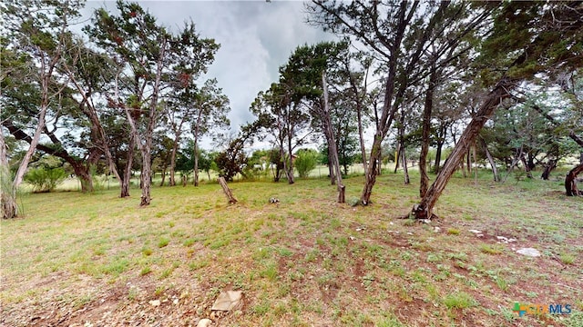 1802 Spring Valley Dr, Dripping Springs, TX 78620 - view of yard