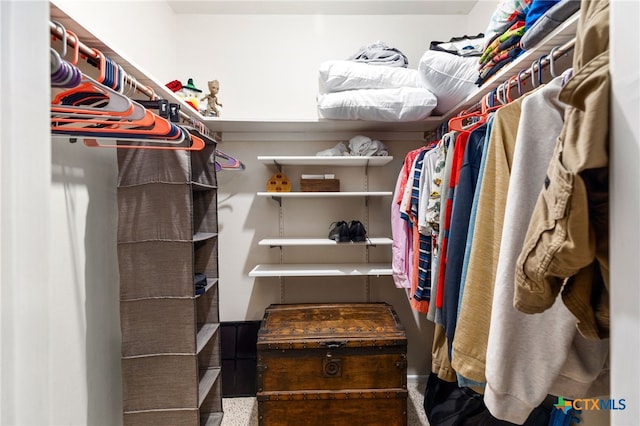 view of spacious closet