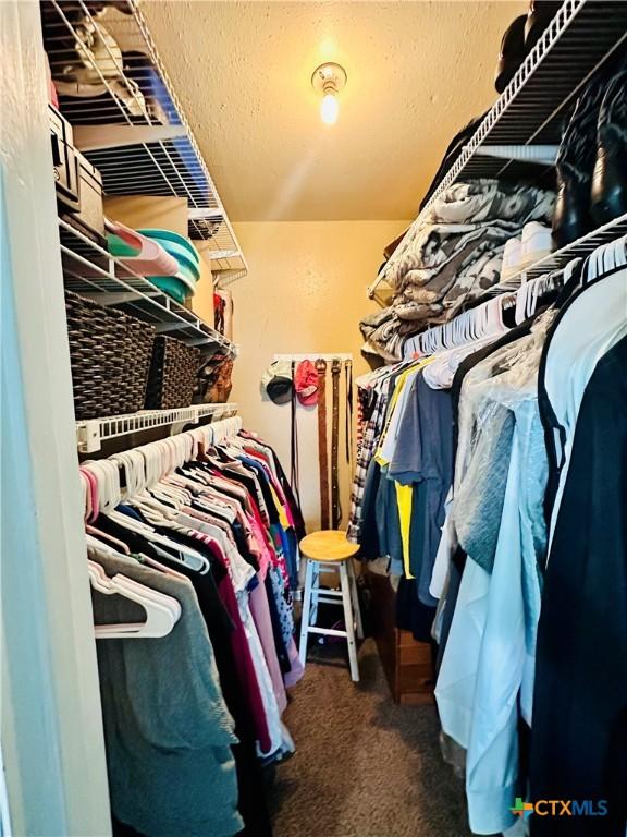3043 Boys Ranch Rd, Kempner, TX 76539 - walk in closet with carpet flooring