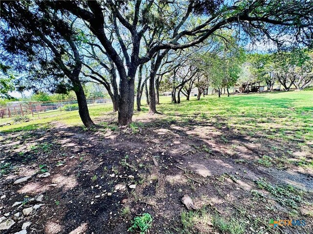 3043 Boys Ranch Rd, Kempner, TX 76539 - view of yard