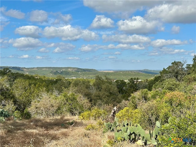 view of mountain feature