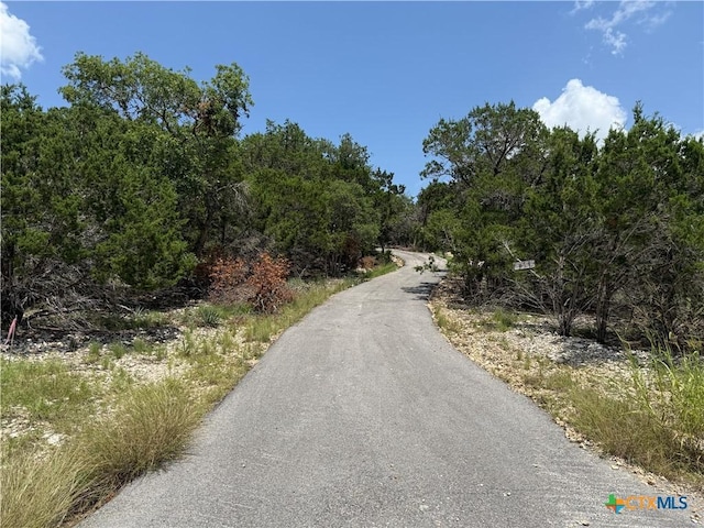 8355 Scenic Lakeview Dr, Salado, TX 76571 - photo 10