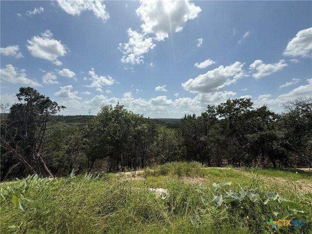 8355 Scenic Lakeview Dr, Salado, TX 76571 - photo 22
