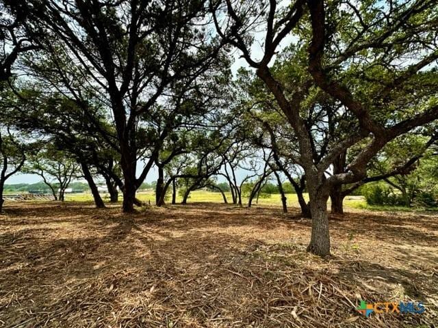 Listing photo 3 for 34741 Carries Crk Dr, Bulverde TX 78163