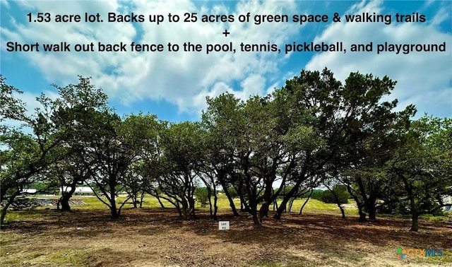 34741 Carries Crk Dr, Bulverde TX, 78163 land for sale