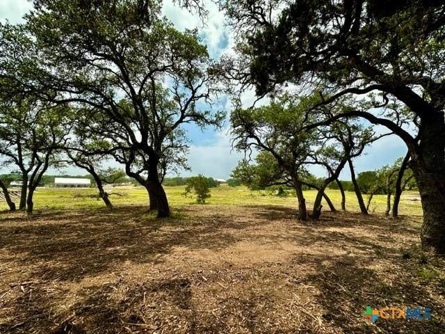 Listing photo 2 for 34741 Carries Crk Dr, Bulverde TX 78163