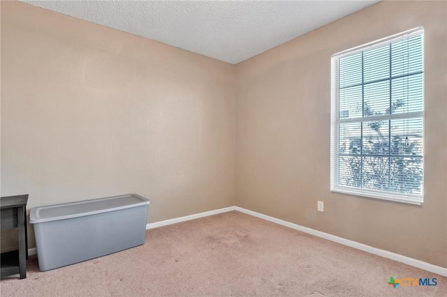 empty room with light carpet and a textured ceiling