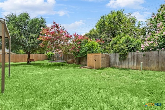 606 Brazos Dr, Temple, TX 76504 - fenced backyard with a shed and a trampoline