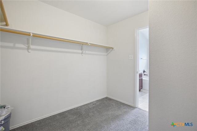 walk in closet featuring carpet flooring