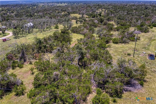 Listing photo 2 for 11AC Dinosaur Ranch Rd, Harper TX 78631