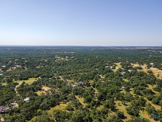 1100 Appalachian Trl, San Marcos, TX 78666 - drone / aerial view featuring a view of trees