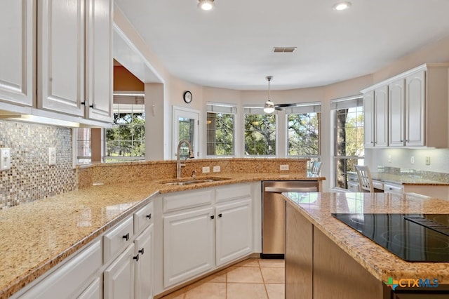 1100 Appalachian Trl, San Marcos, TX 78666 - kitchen featuring visible vents, a wealth of natural light, stainless steel dishwasher, and a sink