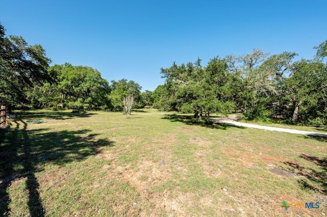 1100 Appalachian Trl, San Marcos, TX 78666 - view of yard
