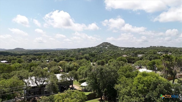 219 Woodcreek Dr, Wimberley, TX 78676 - photo 22