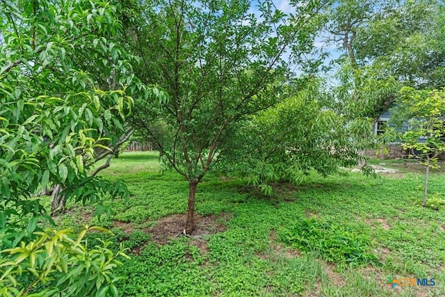 219 Woodcreek Dr, Wimberley, TX 78676 - photo 10