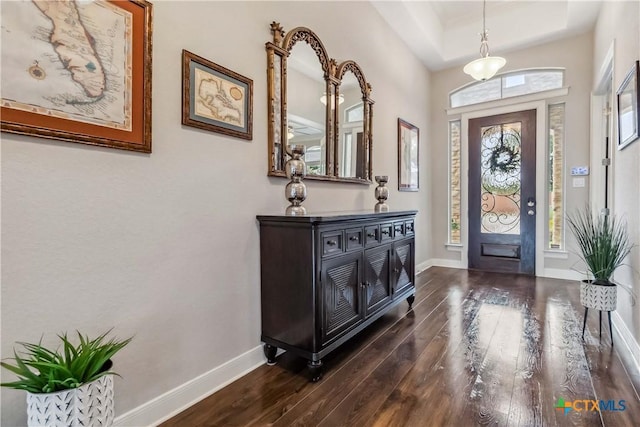 1404 Andalucia Dr, San Marcos, TX 78666 - foyer with wood-type flooring, baseboards, and a raised ceiling