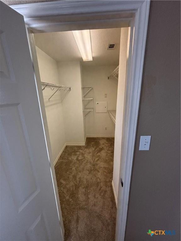 322 Lone Star Blvd, Hutto, TX 78634 - walk in closet with carpet flooring