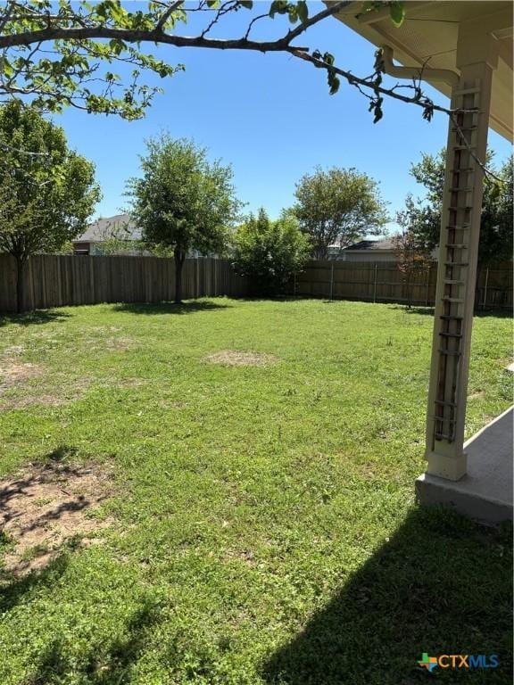 322 Lone Star Blvd, Hutto, TX 78634 - view of yard