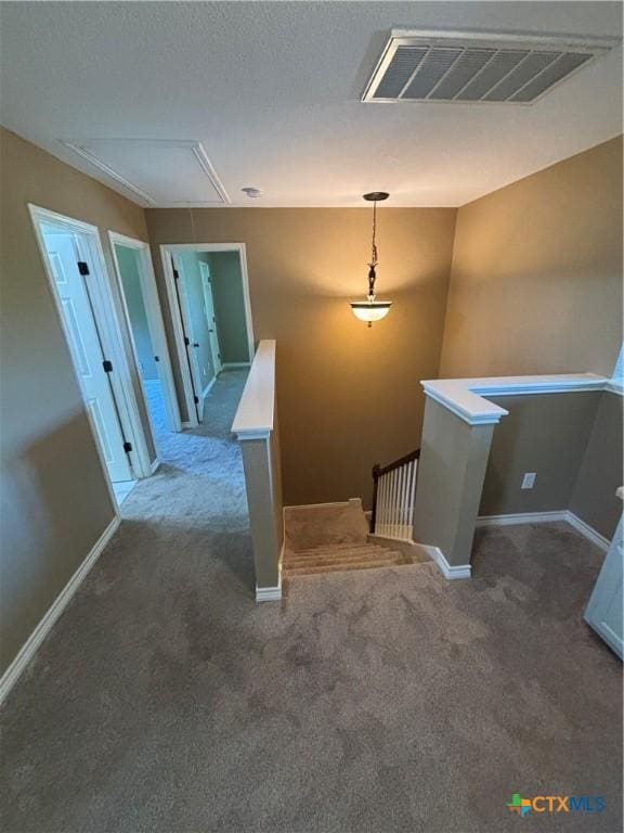 322 Lone Star Blvd, Hutto, TX 78634 - staircase featuring attic access, carpet flooring, and baseboards