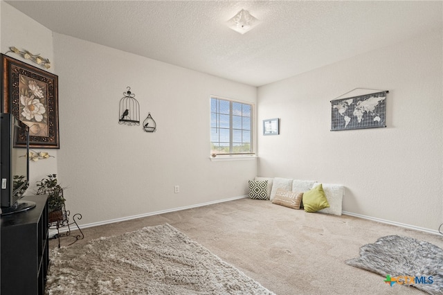 interior space featuring carpet flooring and a textured ceiling