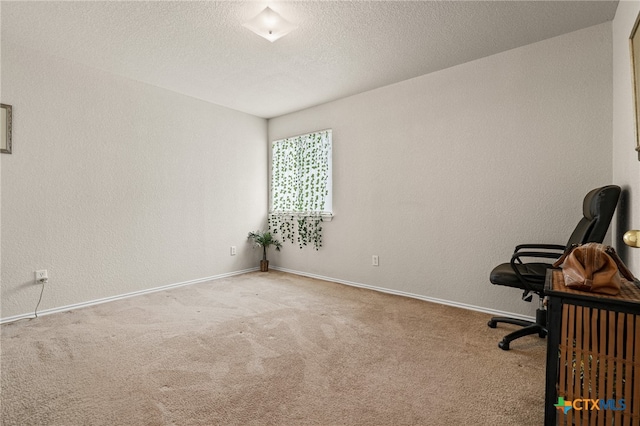 office space featuring carpet and a textured ceiling