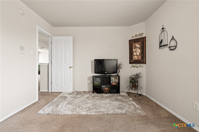 carpeted living room featuring a textured ceiling