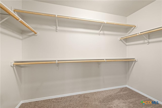2523 Red Fern Dr, Harker Heights, TX 76548 - spacious closet featuring carpet flooring