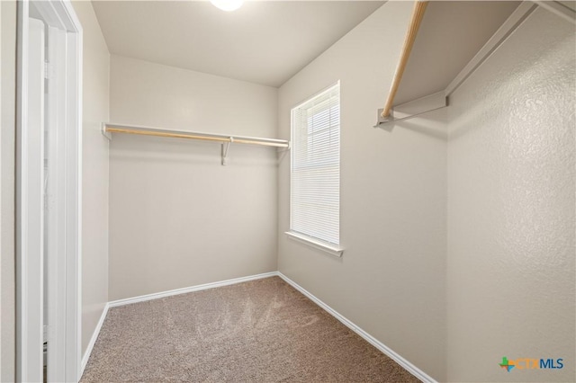 2523 Red Fern Dr, Harker Heights, TX 76548 - spacious closet with carpet floors