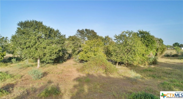 00 Asbeck Ln, Edna, TX 77957 - photo 9