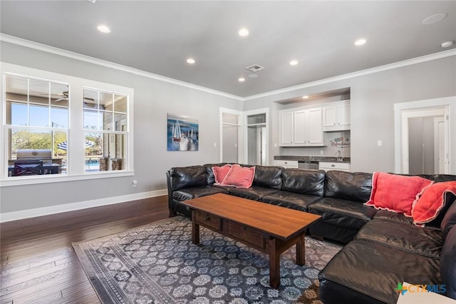 living room with sink, dark hardwood / wood-style floors, and crown molding