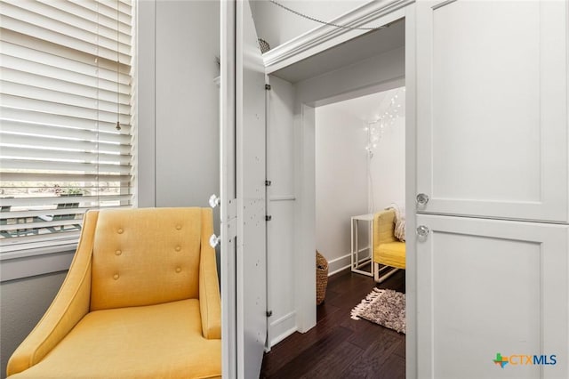 spacious closet featuring dark hardwood / wood-style flooring