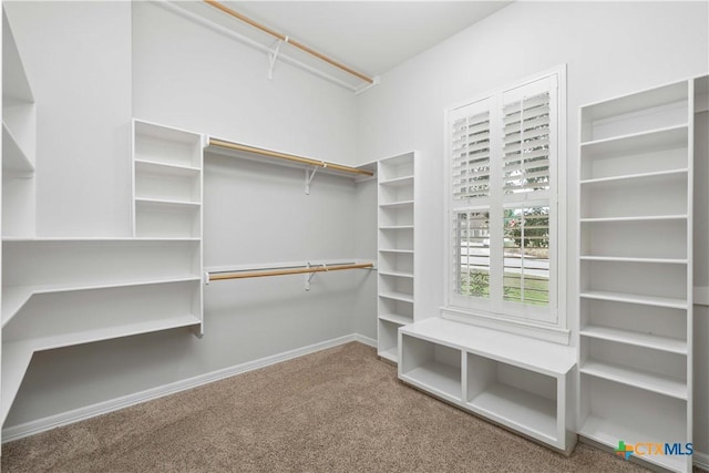 walk in closet with carpet