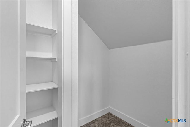 spacious closet featuring vaulted ceiling and carpet