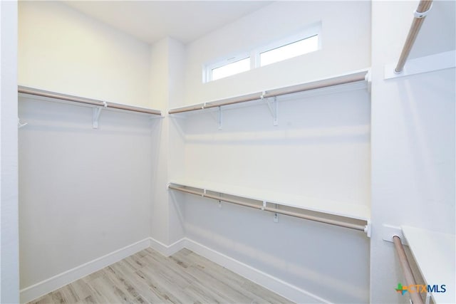 walk in closet with light wood-type flooring