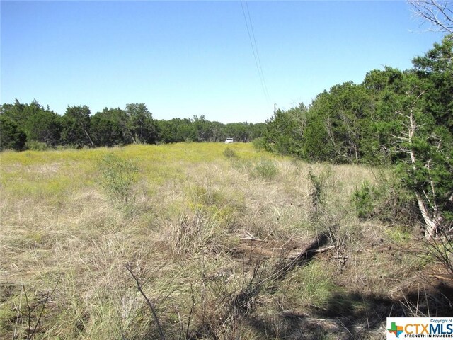 LOT14PHASE3 Private Road 42112, Evant, TX 76525 - photo 38
