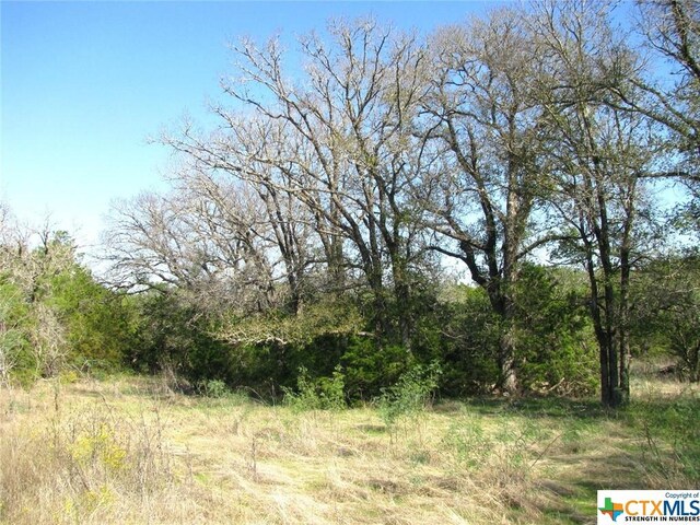 LOT14PHASE3 Private Road 42112, Evant, TX 76525 - photo 16