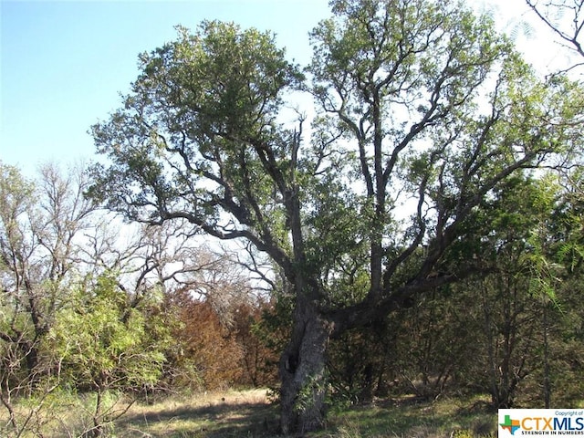 LOT14PHASE3 Private Road 42112, Evant, TX 76525 - photo 35