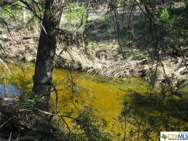 LOT14PHASE3 Private Road 42112, Evant, TX 76525 - photo 3