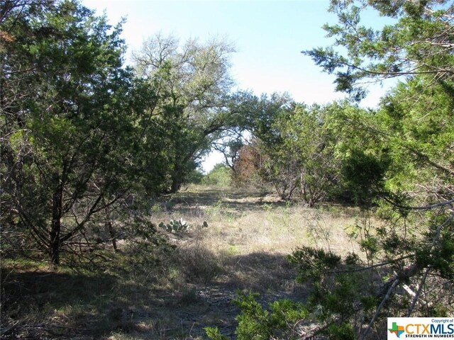 LOT14PHASE3 Private Road 42112, Evant, TX 76525 - photo 34