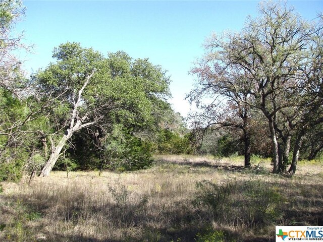 LOT14PHASE3 Private Road 42112, Evant, TX 76525 - photo 15